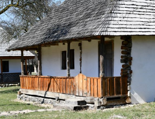 The house from Cerbu village, Albota commune