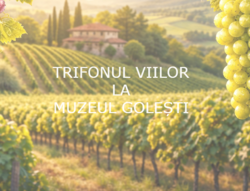 Trifonul Viilor – ritual agrar, credință și tradiție viticolă, la Muzeul Golești