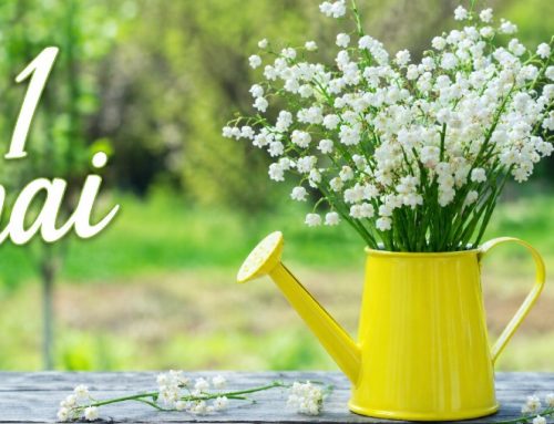 Programul Muzeului Golești în ziua de1 MAI 2026