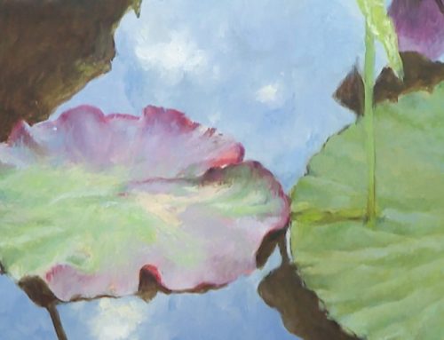 Exhibition by Brîndușa Bontea and Radu Florea, „Solar Manuscripts”