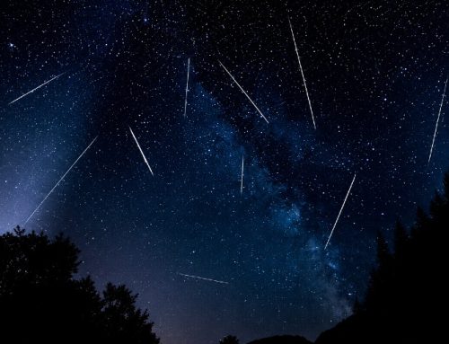 Noaptea de Perseide la Muzeul Golești